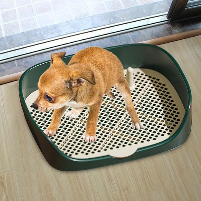 Pet Dog Toilet Puppy Training Potty Tray Portable for Cat Training Pad Holder with Protection Wall Litter Box Trainer Corner, Green L