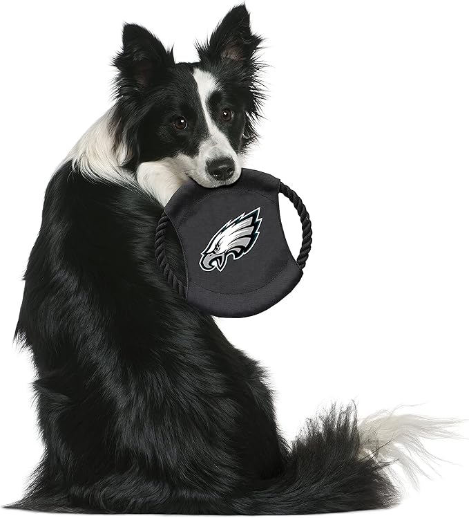 Littlearth NFL Unisex NFL Sock Monkey and Flying Disc Pet Toy Combo Set