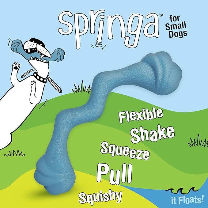 Nylabone Springa Interactive Dog Toy for Small Dogs - Lightweight Flexible Floatable Dog Tug Toy for Creative Play & Dog Exercise