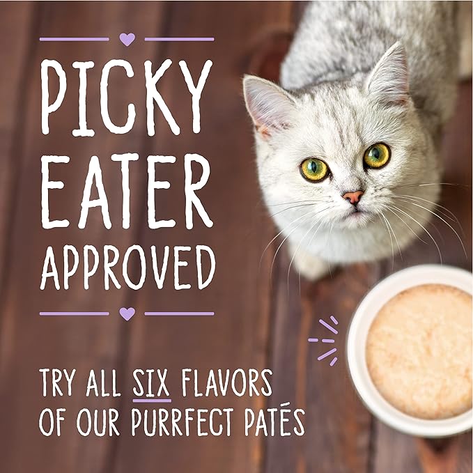 Stella & Chewy's Carnivore Cravings Purrfect Paté - Premium Grain-Free Wet Cat Food - Chicken & Liver Recipe - High Protein with Bone Broth - Perfect for Picky Eaters - 2.8oz Cans (24 Pack)