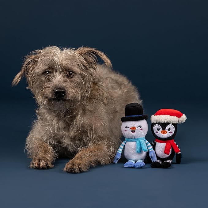 Fringe Studio Pet Toy, Ultimate CHILLERS Plush Dog Toy 2 Piece Set, Penguin & Snowman, PetShop Collection (312066)
