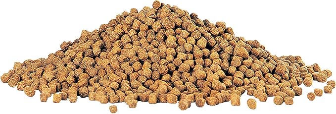 Aqueon Cichlid Food Medium 7.5 Ounces