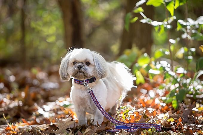 Pets First NHL Colorado Avalanche Leash for Dogs & Cats, Walk Cute & Stylish! The Ultimate Hockey Fan Leash!, Large (6 ft Long x 1 in Width) (AVA-3031-LG)