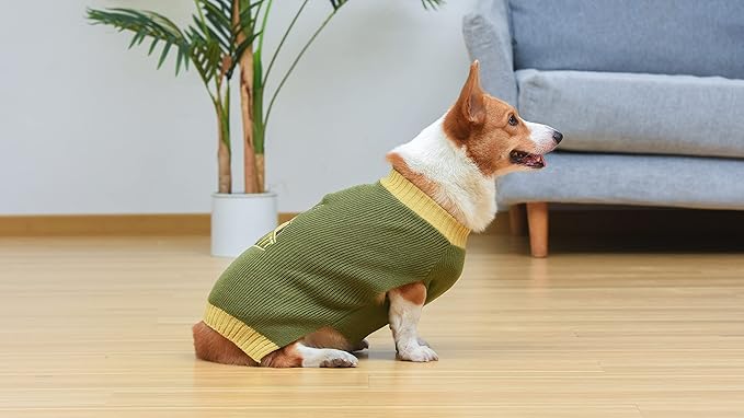 STAR WARS Boba Fett Dog Sweater, Large (L) | Dog Sweater, Pet Apparel | Gifts for Star Wars Fans