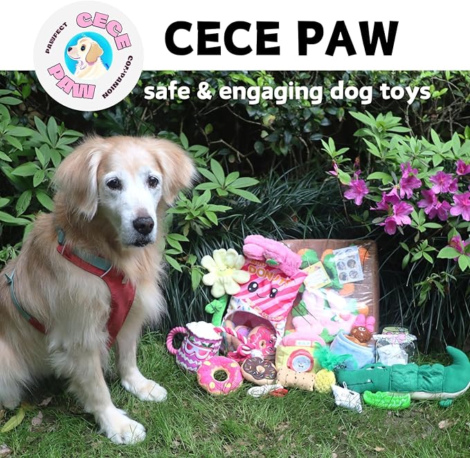 CECE PAW Donut Snuffle Toys, Squeaky Crinkle Interactive Dog Toys, Dog Enrichment Treat Puzzle for Boredom and Mental Stimulation, Puppies, Small and Medium Dogs (Plush Bag)