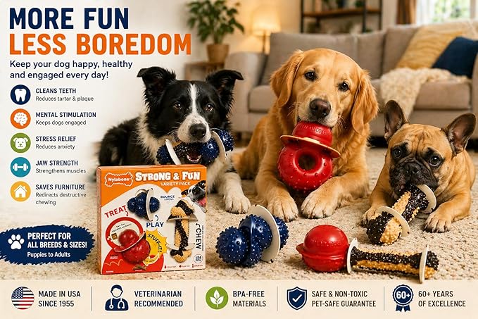 Nylabone Tough Dog Chew Variety Pack, 3 Count