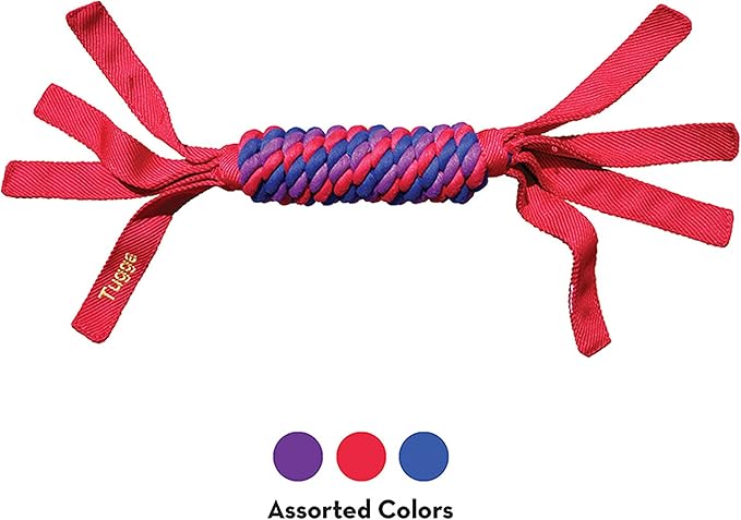 Kong Tugga Wubba - Ballistic Nylon Tough Toy for Tugging and Fetch - Small