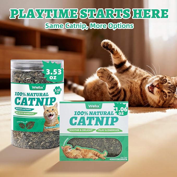 Wellix 3.53oz Fresh Catnip for Cats, Natural Dried Catnip Leaves, Flowers & Stems - Fresh Aroma, Used as Treats or Refillable Cat nip Toys, Non-addtictive, Safe for Indoor Kittens