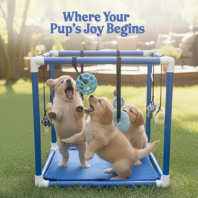 Race&Herd Puppy Play Gym, Dog Play Mat, 8 Bungee Straps Interactive Puppy Active Toys - Small Dog Jungle Gym 19.5" Frame with Playground Set Indoor Enrichment Activity Center (Blue)