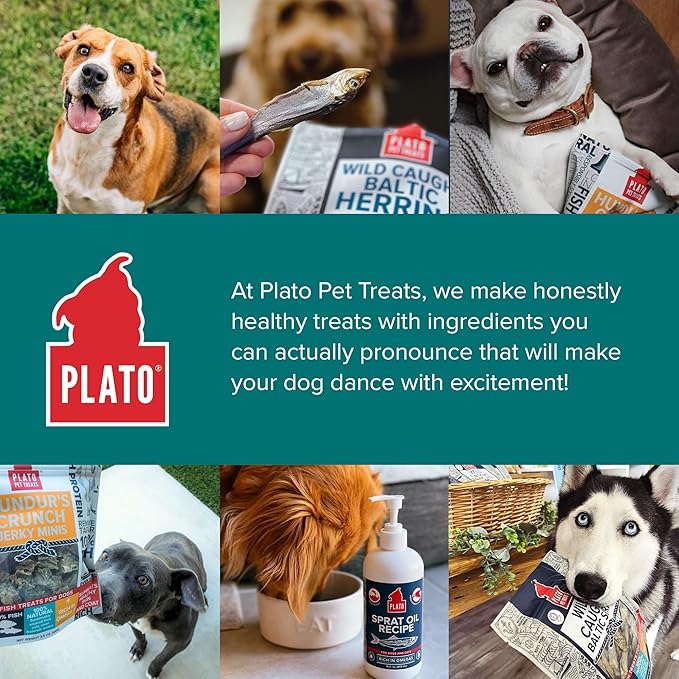 Plato Pet Treats Fish Dog Treats - Air-Dried, Single Ingredient Dog Treat - with Omega 3 & 6 Fatty Acids to Support Skin and Coat - 100% Whole Fish - Wild Caught Baltic Herring Dog Treats - 8.5 oz