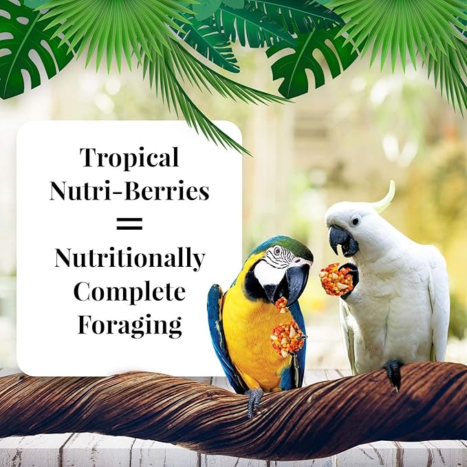 TROPICAL FRUIT NUTRI-BERRIES