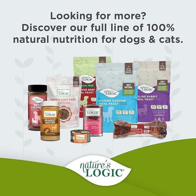 Nature's Logic Grain-Free Canned Dog Food - 95% Animal Proteins - 100% Natural Wet Dog Food Cans - No Common Allergens - All Life Stages - Ideal for Sensitive Dogs - Turkey (13.2 oz, 12 pack)