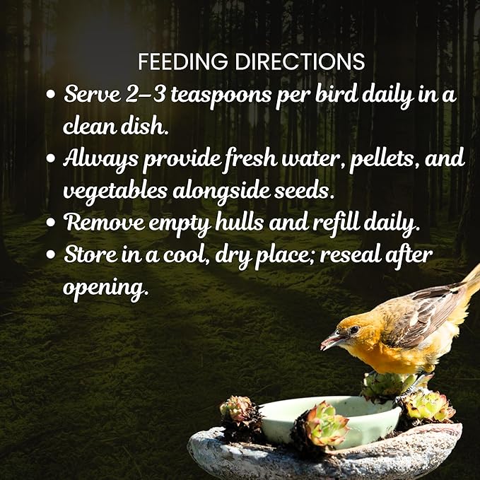 Danodia's Zoolulu Cockatiel & Parrotlet Millet Mix (450g/1 lbs) | Bird Food Blend for Cockatiels, Budgerigars, Parrotlets & Lovebirds | Daily Feeding Blend