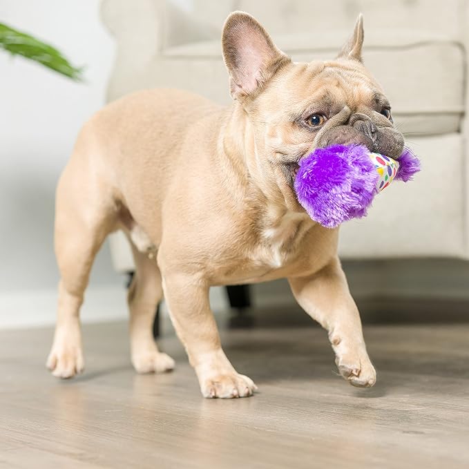 Huxley & Kent Tiny Tuff | It's My Barkday | Extra Tough Dog Toy for Small Dogs | 2-Pack Funny Dog Toy | Features Squeaker, Crinkle | Machine Washable