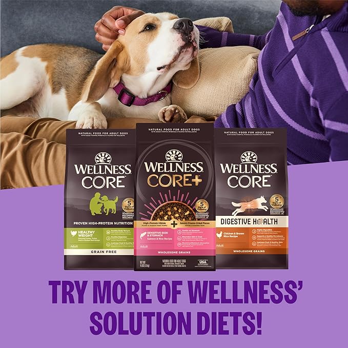 Wellness CORE Healthy Weight Adult Dry Dog Food, Grain Free Kibble, Natural, High Protein, Turkey and Chicken Recipe, 4 lb Bag