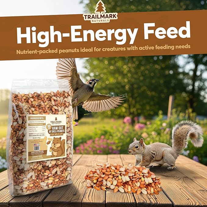 2 LB - Raw Shelled Peanuts For Squirrels, Out of Shell Peanuts For Birds and Wildlife- Squirrel Food, Wild Bird Seed - Grown in The USA