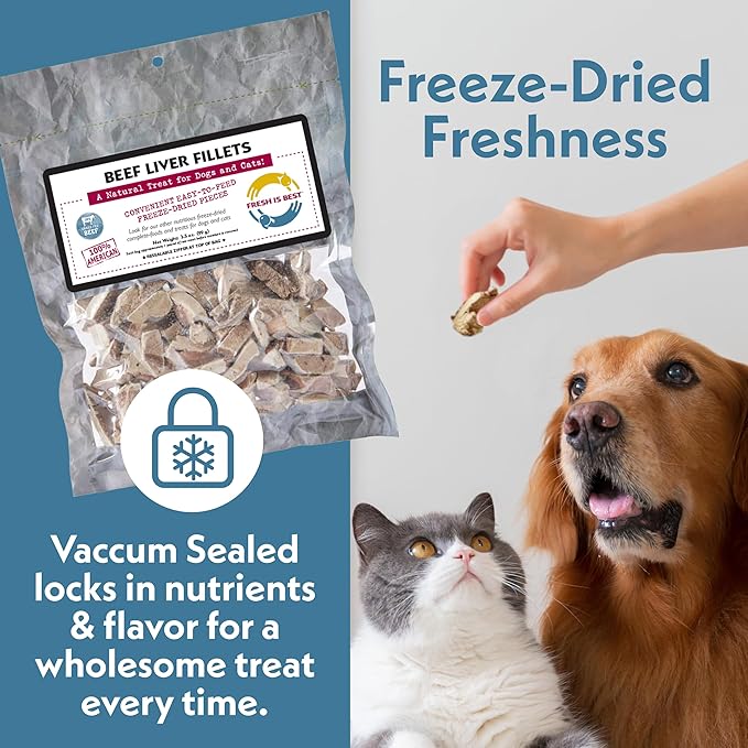 Fresh Is Best Beef Liver Fillets Freeze Dried Dog Treats – Raw Freeze Dried Dog Food for Cats & Canines – Training Treat in Resealable Zipper Bag – Grass-fed & Finished Beef Made in the USA