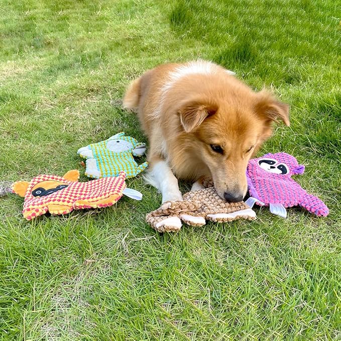 Cute No Stuffing Dog Toy for Small, Medium Breeds, Fun for Indoor Puppies with Soft Squeaker and Crinkle Paper, No Mess Chew and Play (4 Pack)