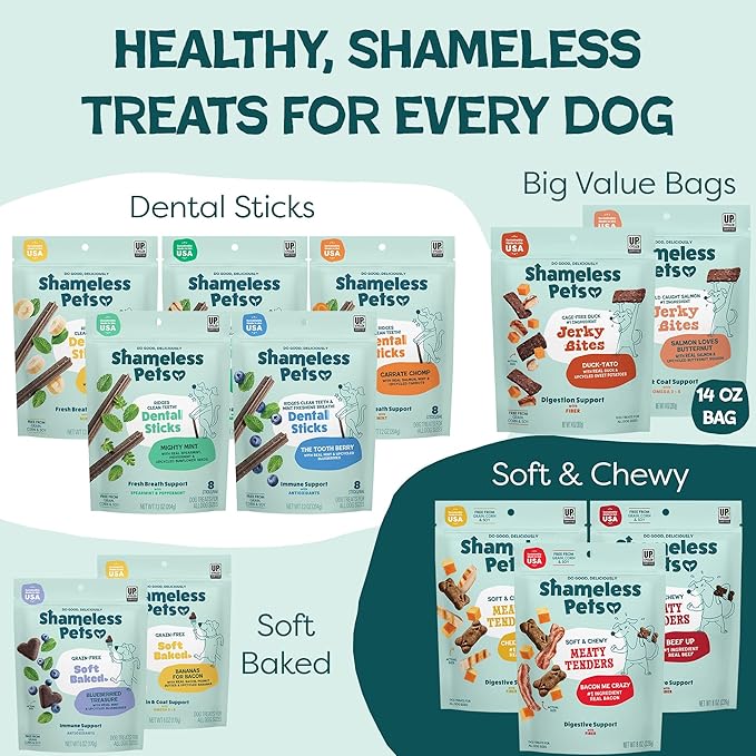 Shameless Pets Jerky Dog Treats, Salmon Loves Butternut - Healthy Dog Chews for Dogs Skin & Coat with Omega 3 & 6 - with Real Wild-Caught Salmon - Free from Grain, Corn & Soy - 1-Pack