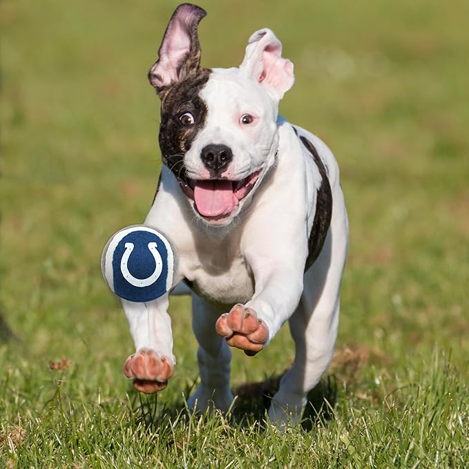 NFL INDIANAPOLIS COLTS TENNIS BALLS for DOGS & CATS - 2 piece set with Team Logo in Vibrant Team Color