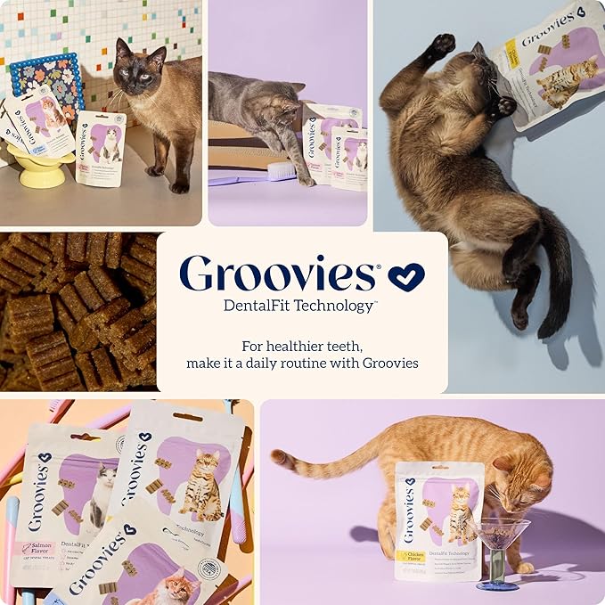 Groovies Cat Daily Dental Treats. Tasty, Crunchy Bites Cats Love. Salmon Flavor. Powered by USA-Patented DentalFit Technology. No Added Gluten, No Artificial Flavors or Colors. 7.05oz (460 Treats)