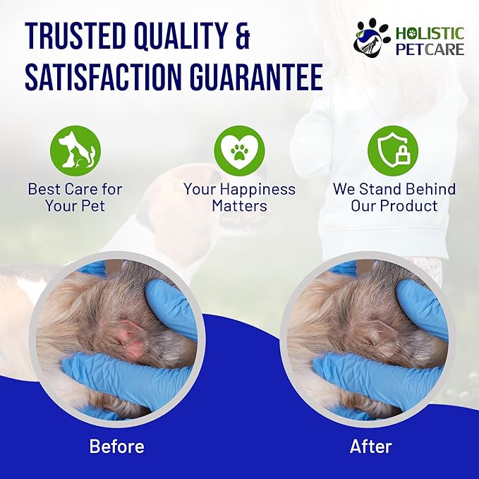 HOLISTIC PET CARE Colloidal Silver Gel – Natural Healing Gel for Pets, Non-Irritating Formula for Skin Irritations, Minor Abrasions, and Dryness, Soothing and Gentle, 8oz Bottle