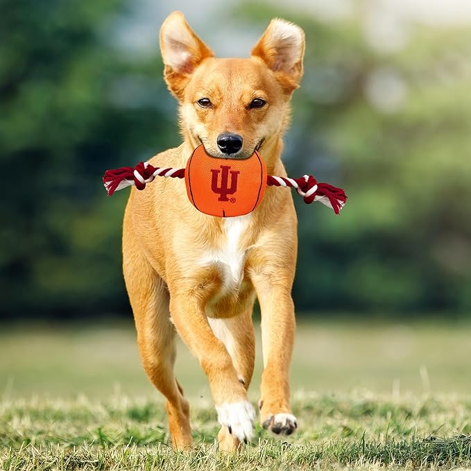 NCAA Indiana Hoosiers Basketball Rope Toy for Dogs & Cats. Tough Nylon, Sporty Basketball Design, Heavy-Duty Ropes with Inner Squeaker