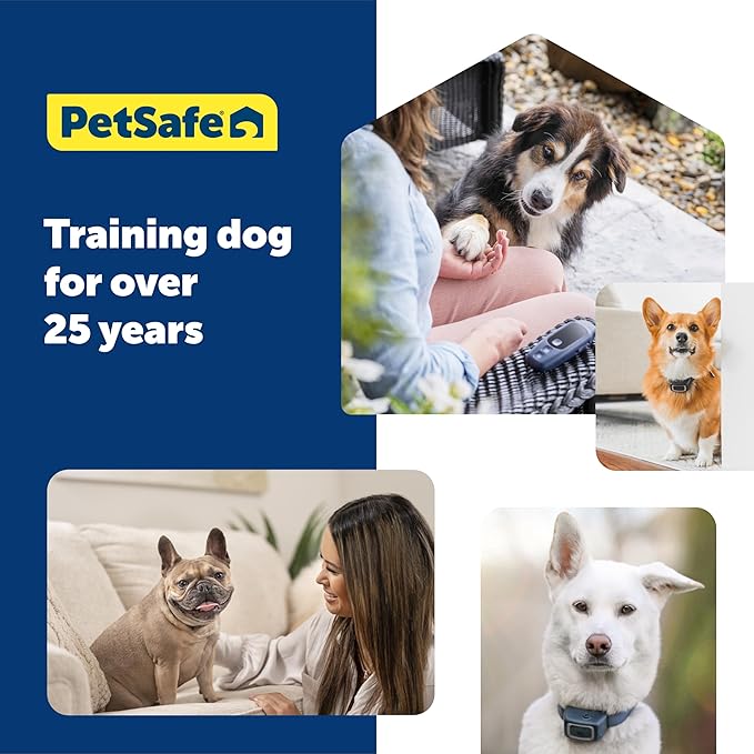 PetSafe Clik-R Training Tool Clicker Trainer for Dogs - Positive Reinforcement Dog Training Marker - All Stages of Life Ergonomic Design Clear Click Sound