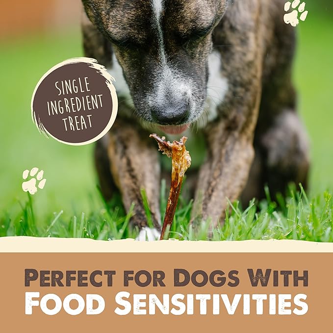 Mighty Paw Collagen Sticks for Dogs | Long Lasting Chews. Rawhide Pet Treats Long Lasting. Dog Chews Treats. Beef Collagen Stick for Pets (8 Pack)