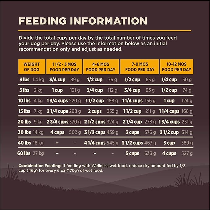 Wellness CORE Puppy Dry Dog Food, Grain Free Kibble, Natural, High Protein, Chicken and Turkey Recipe, 12 lb Bag