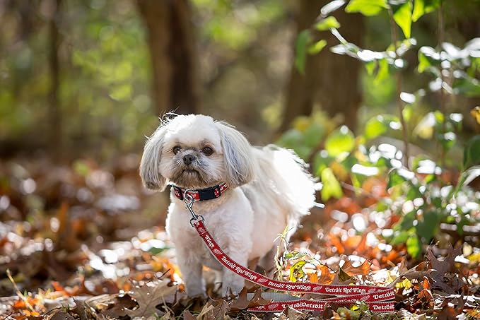 Pets First NHL Detroit RED Wings Leash for Dogs & Cats, Medium. - Walk Cute & Stylish! The Ultimate Hockey Fan Leash!, Medium (4 ft Long x 0.62 in Width) (DRW-3031-MD)