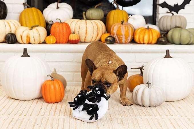 Fringe Studio Hide & Seek Burrow Plush Dog Toy, Skull with Spiders, 3 Piece Set, Pet Shop Collection (289206), Multicolored
