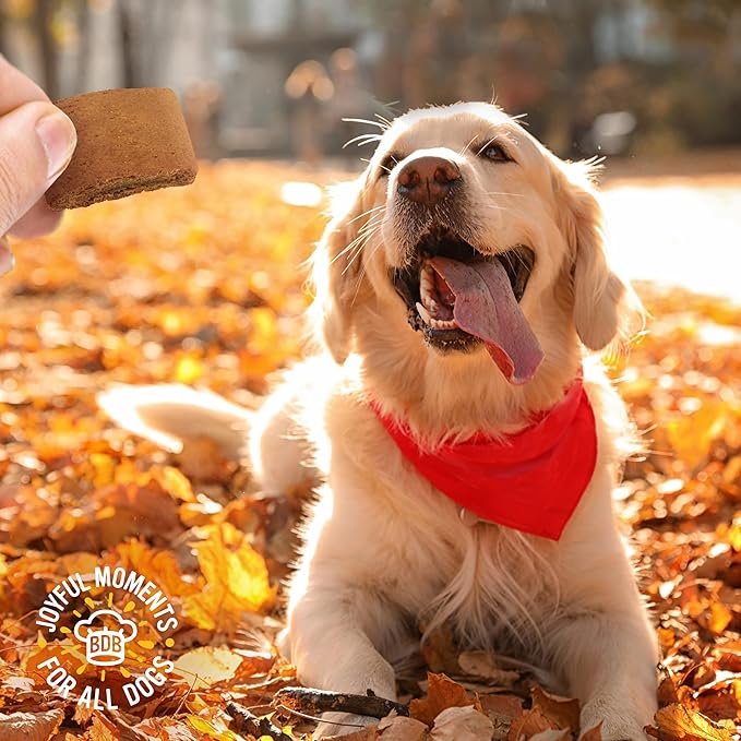 Blue Dog Bakery Pun'Kin Softies, Pumpkin Flavor, 10 Ounces (Pack of 3)