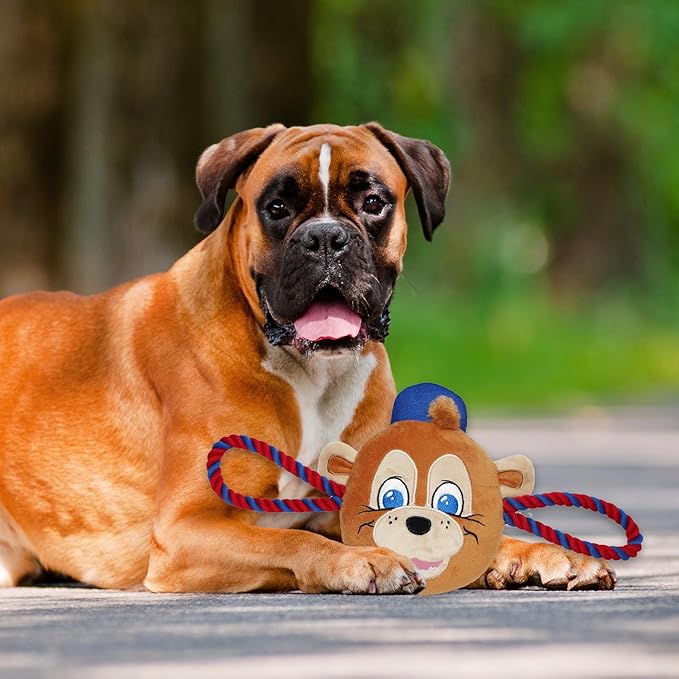 MLB Chicago Cubs Nylon Mascot Dog Toy with Tough Dog Ropes & Inner SQUEAKER in Bright Team Colors