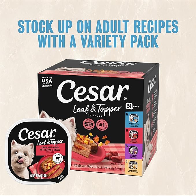 Cesar Loaf & Topper in Sauce Wet Dog Food, Rotisserie Chicken Flavor with Bacon & Cheese, Wet Food for Dogs, 3.5 oz Easy Peel Trays, 24 Count (Pack of 2)