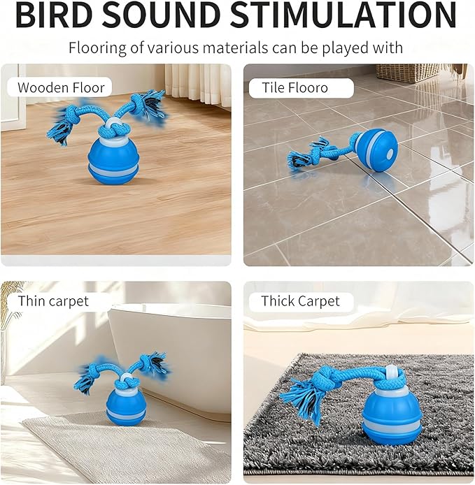 2-Pack Interactive Dog & Cat Toys for Small Dogs Indoor Cats - Auto Moving Balls with Chirping Squeaky Sounds, Rechargeable Motion Activated Boredom Buster, Easter Basket Essentials