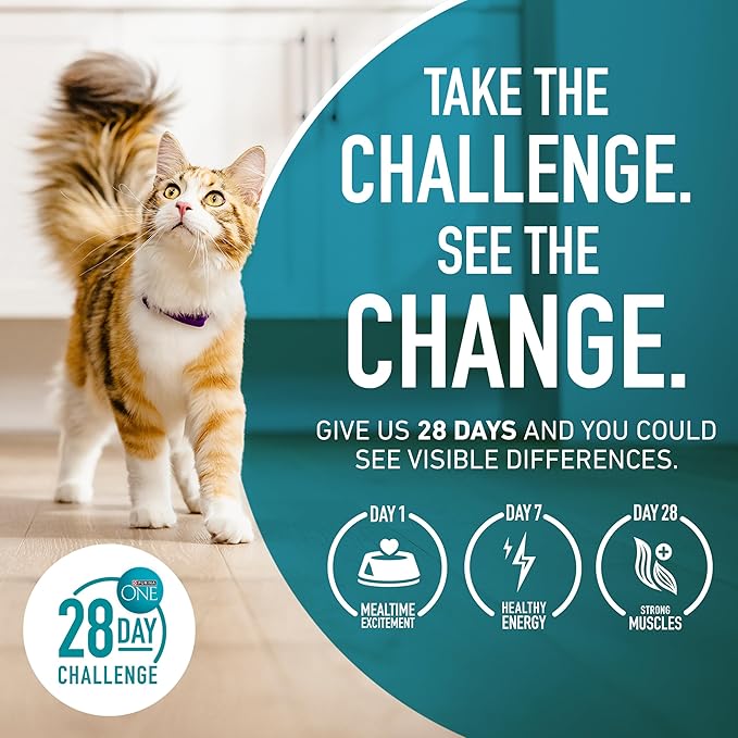 Purina ONE High Protein, Healthy Plus Ideal With Chicken Dry Cat Food Control Formula - 7 lb. Bag