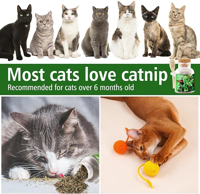 Organic Cat’s Cat nip Natural Dried Catnips Treat Used to Supplement Kitten Interactive Toys Great for Training Redirecting Bad Behaviors