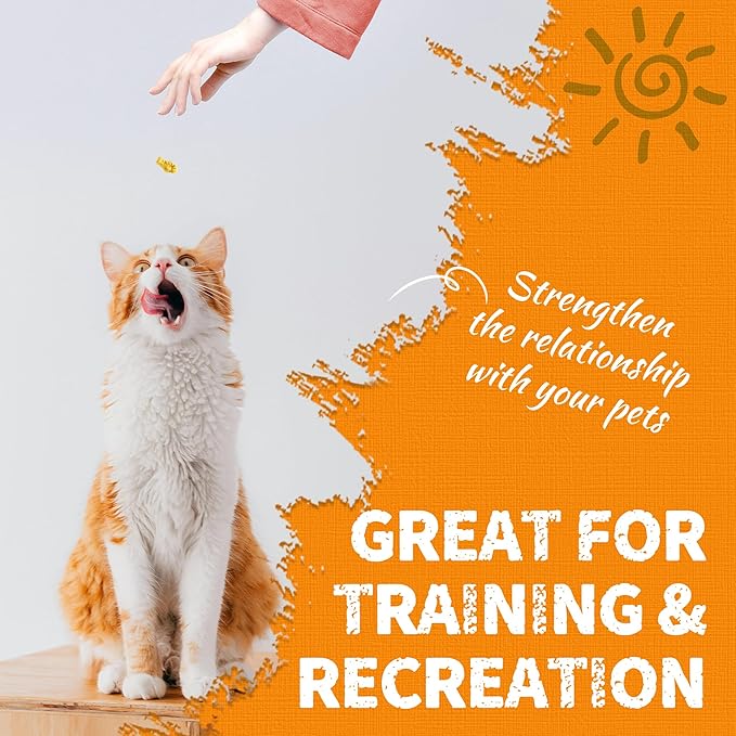 Just Try 36 OZ Pumpkin Cat Treats Cat Constipation Relief Hairball Control Healthy Salmon Snacks Training Biscuits Treats for Digestive Support Low Calorie Kitten Snacks