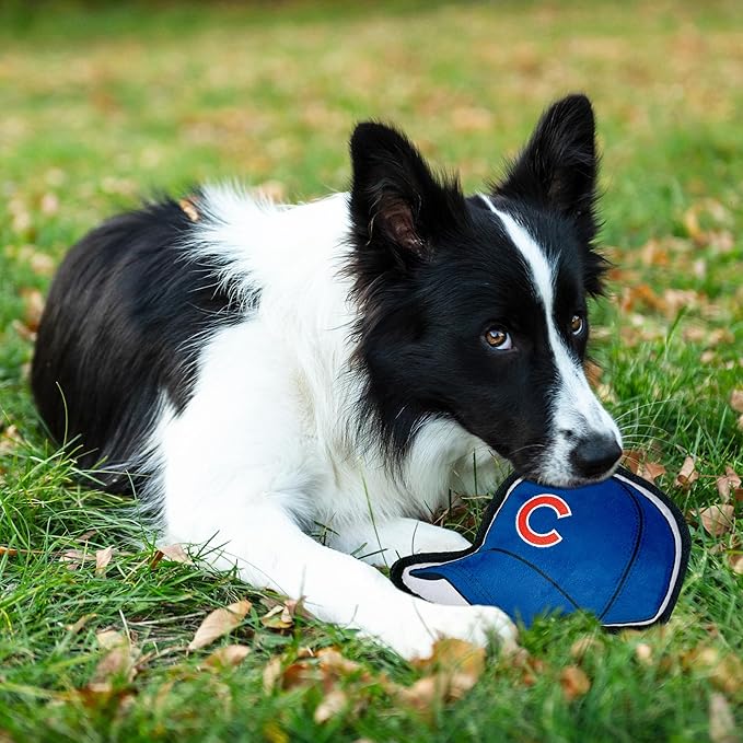 Pets First MLB Chicago Cubs Baseball Cap Tough Toy for Dogs, Best MLB Dog Toy with Team Logo