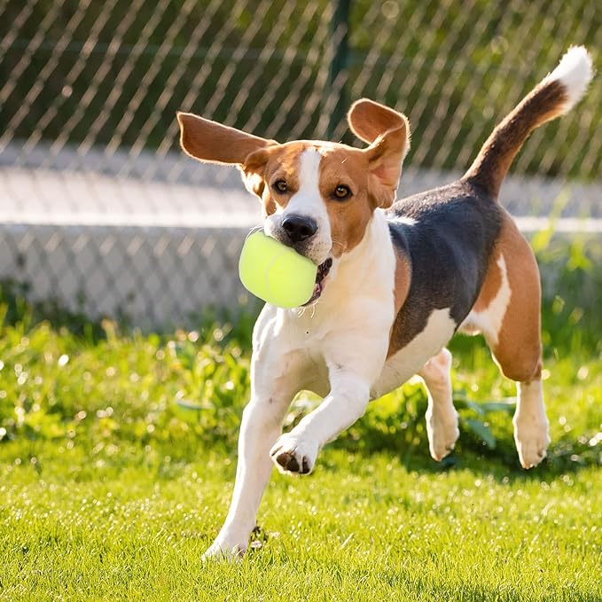 Dog Toys Balls - Chewable Plush Tennis for Dogs, Soft Pet Squeaky Ball Stuffed with Fluffy, Durable Indoor & Outdoor Dog Puzzle Toy, Birthday for Puppy Small and Medium Breeds