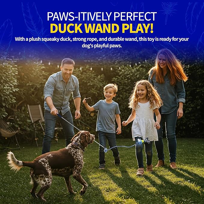 PET FIT for Life Plush Wand Squeaky Dog Toy