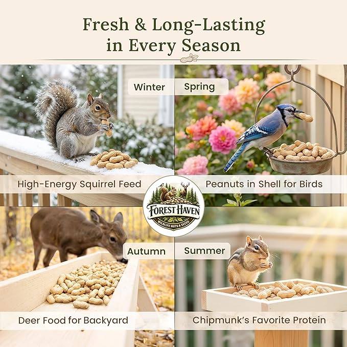 Forest Haven Premium Raw Peanuts for Squirrels – 2LB Bulk Squirrel Food – Unsalted Peanuts in Shell for Birds, Deer & Wildlife – Bonus Binoculars Included - USA Grown