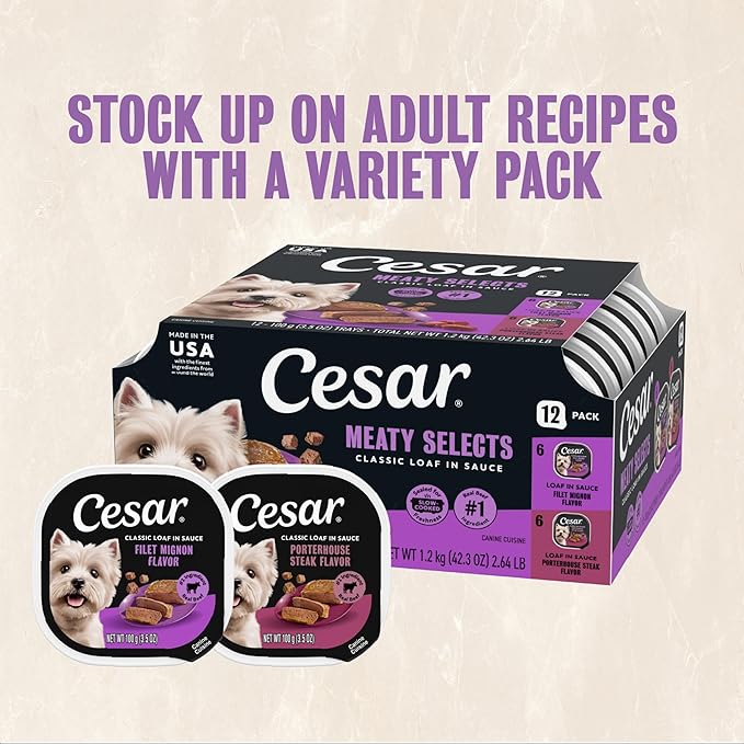 Cesar Classic Loaf in Sauce Adult Wet Dog Food, Filet Mignon Flavor and Porterhouse Steak Flavor, 3.5 oz. Easy Peel Trays, Variety Pack (12 Count Pack of 2)