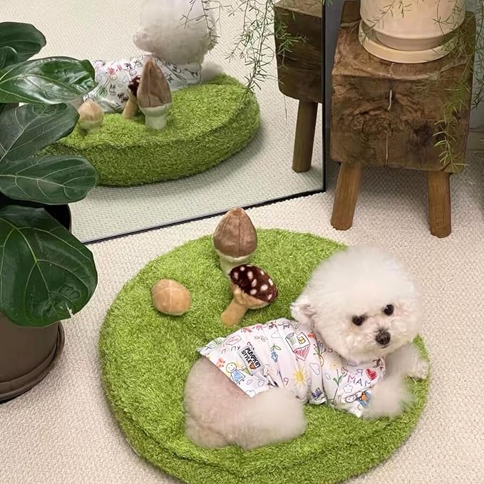 CECE PAW Mushroom Mat Pet Toy & Bed | Dog Snuffle Mat with 3 Crinkle Mushrooms for Treat Hiding | Soft Cushion for Cats, Small Dogs, & Owners | Washable Interactive Play & Cozy Rest