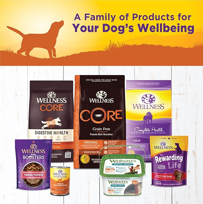 Wellness Complete Health Pate Adult Canned Wet Dog Food, Wholesome Grains, Natural, Turkey and Sweet Potato, 12.5 oz, Pack of 12 Cans