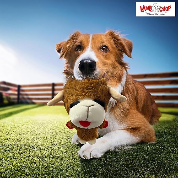Multipet Knobby Noggins Lamb Chop Dog Toys | Lambchop Knobby Noggins Pet Toy | Squeaky Dog Toy Plush | 3 Pack (Black + Brown + White) (5")