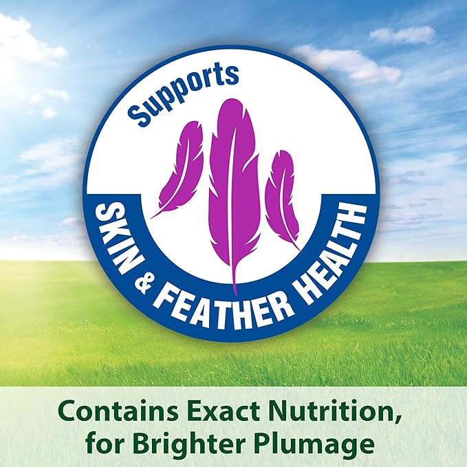 Kaytee Forti-Diet Pro Health+Safflower Nourish+Protect Cockatiel Food, Supports Breeding and Molting, Nutrition Backed by Science, Digestive and Brain Health, 4 pounds (Pack of 2)