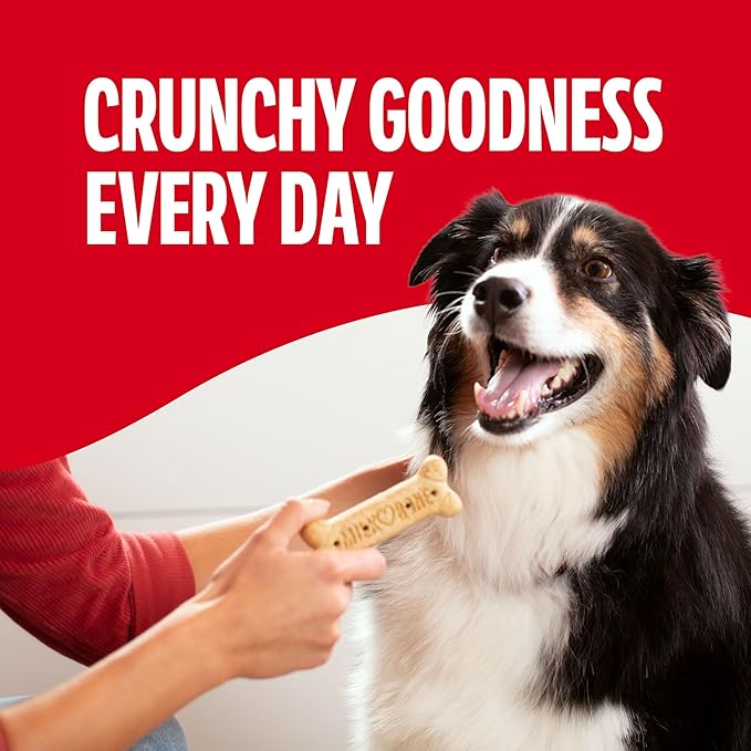 Milk-Bone Original Dog Treats Biscuits for Large Dogs, 4 Pound (Pack of 2)