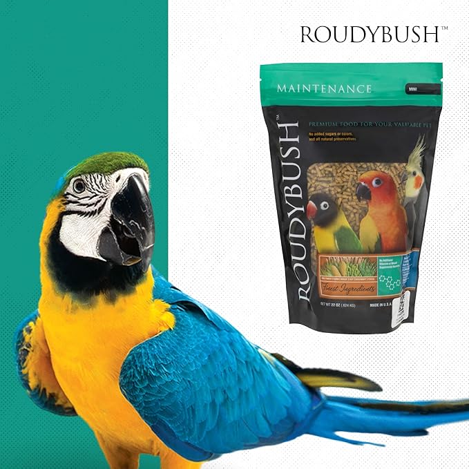 Roudybush Daily Maintenance Bird Food, Mini, 22-Ounce